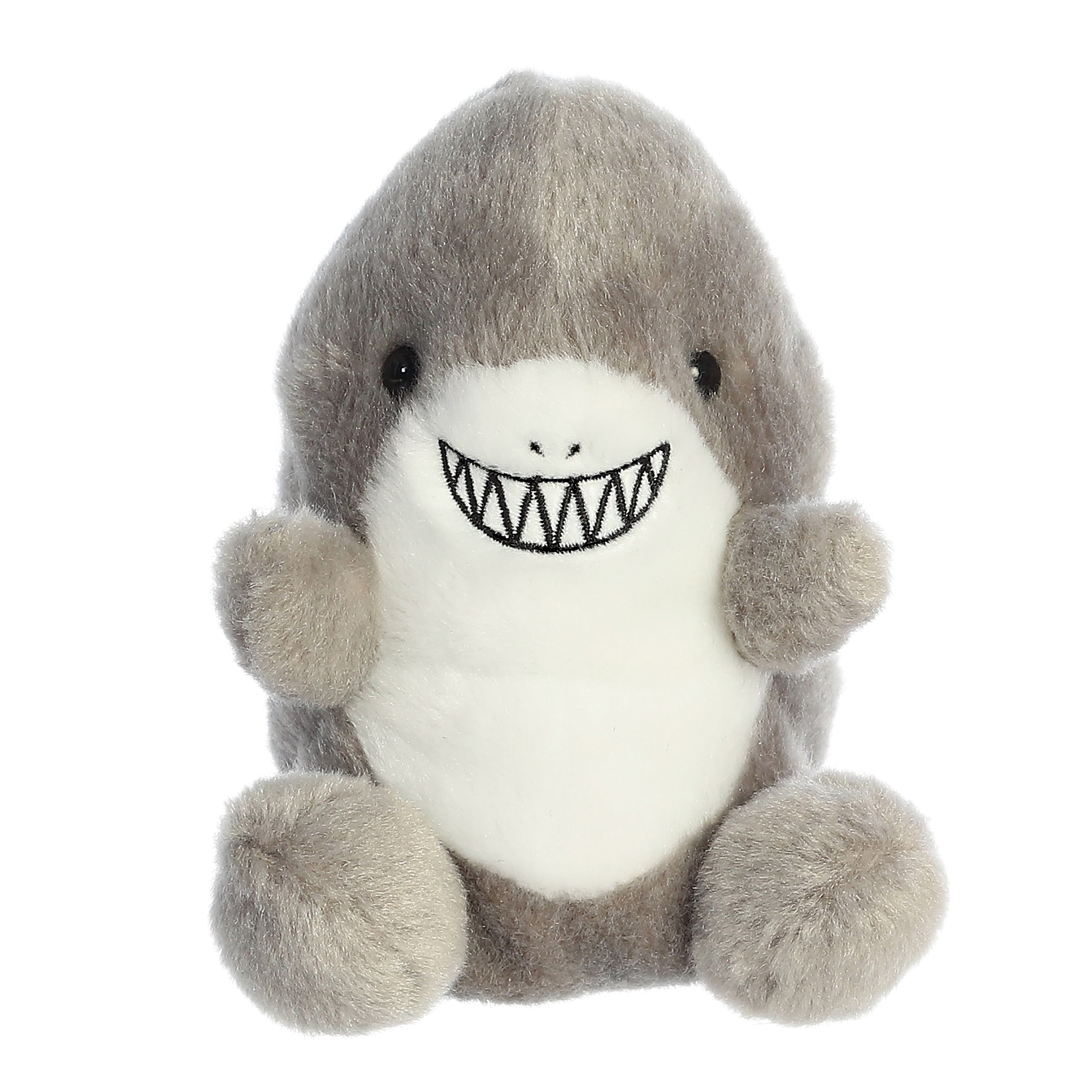 Alternative view of Chomps Shark