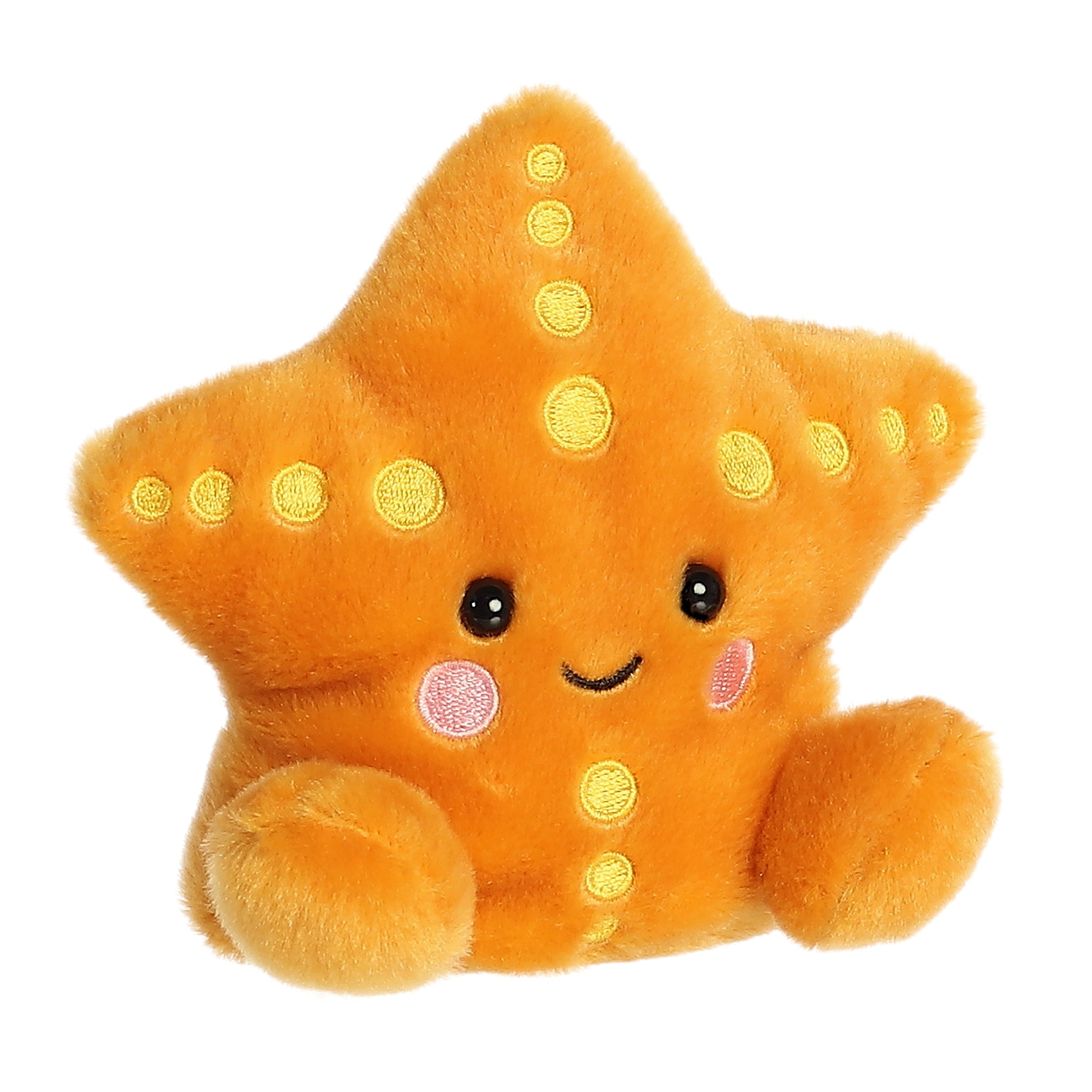 Alternative view of Treasure Starfish