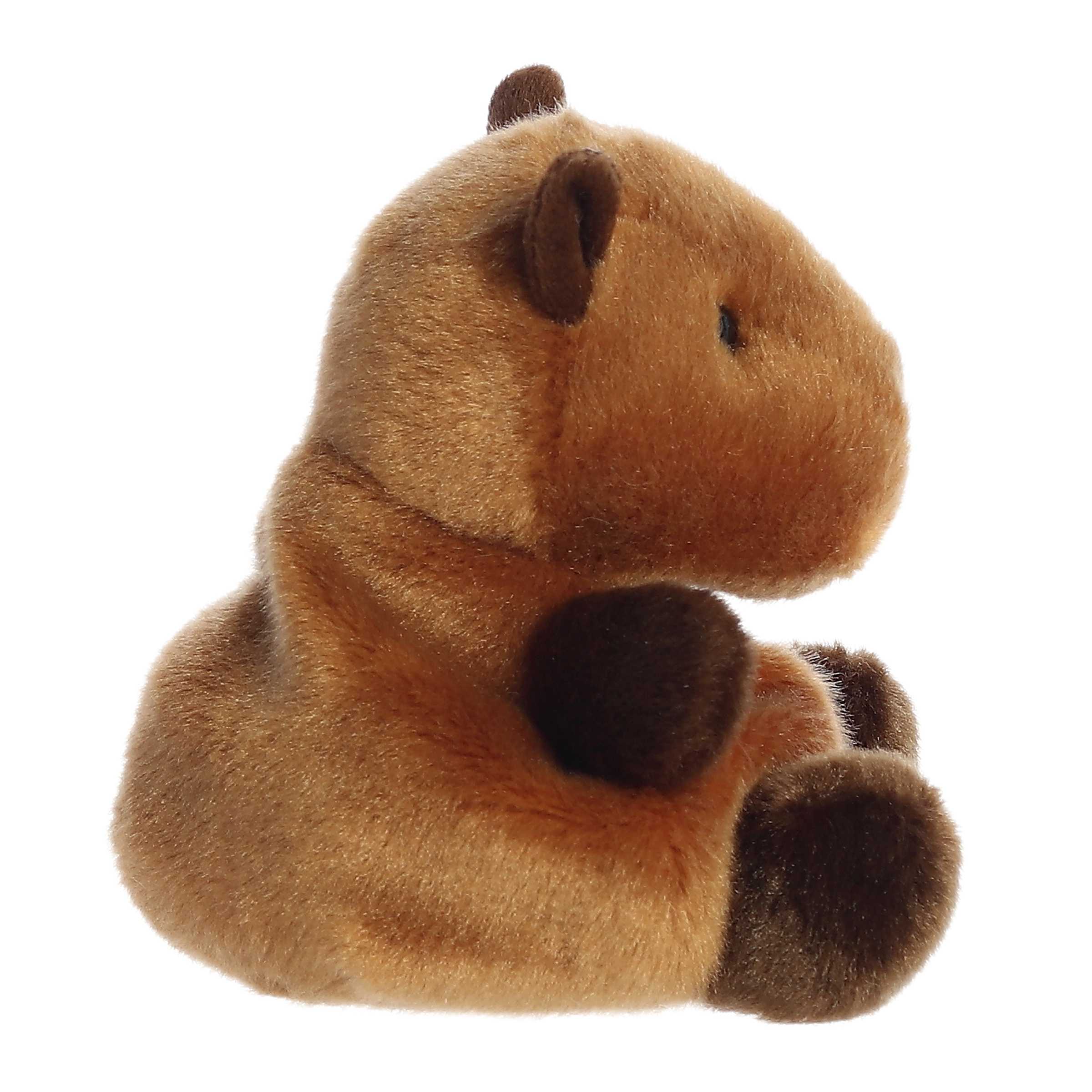 Sid Capybara - Image 3