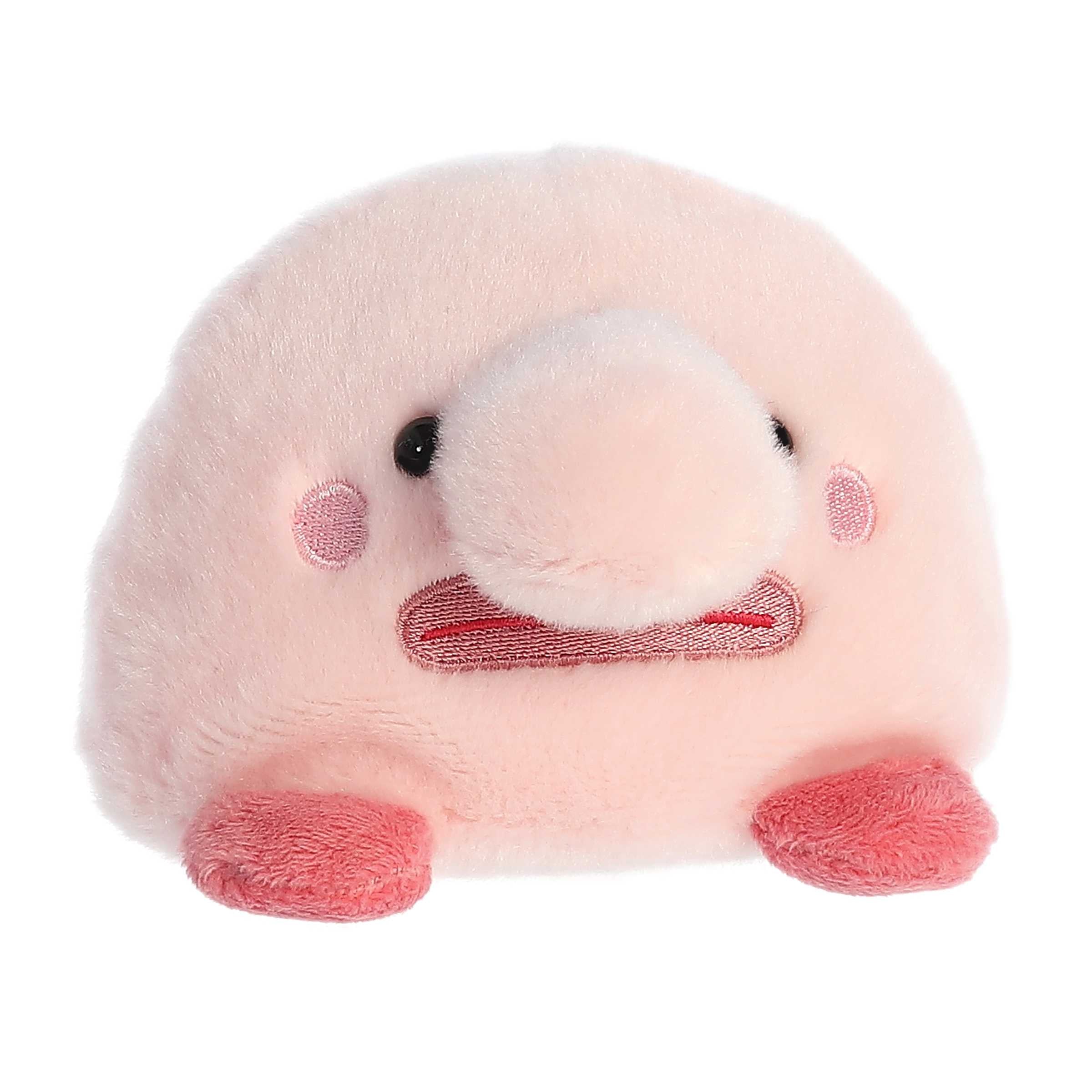 Alternative view of Bart Blobfish