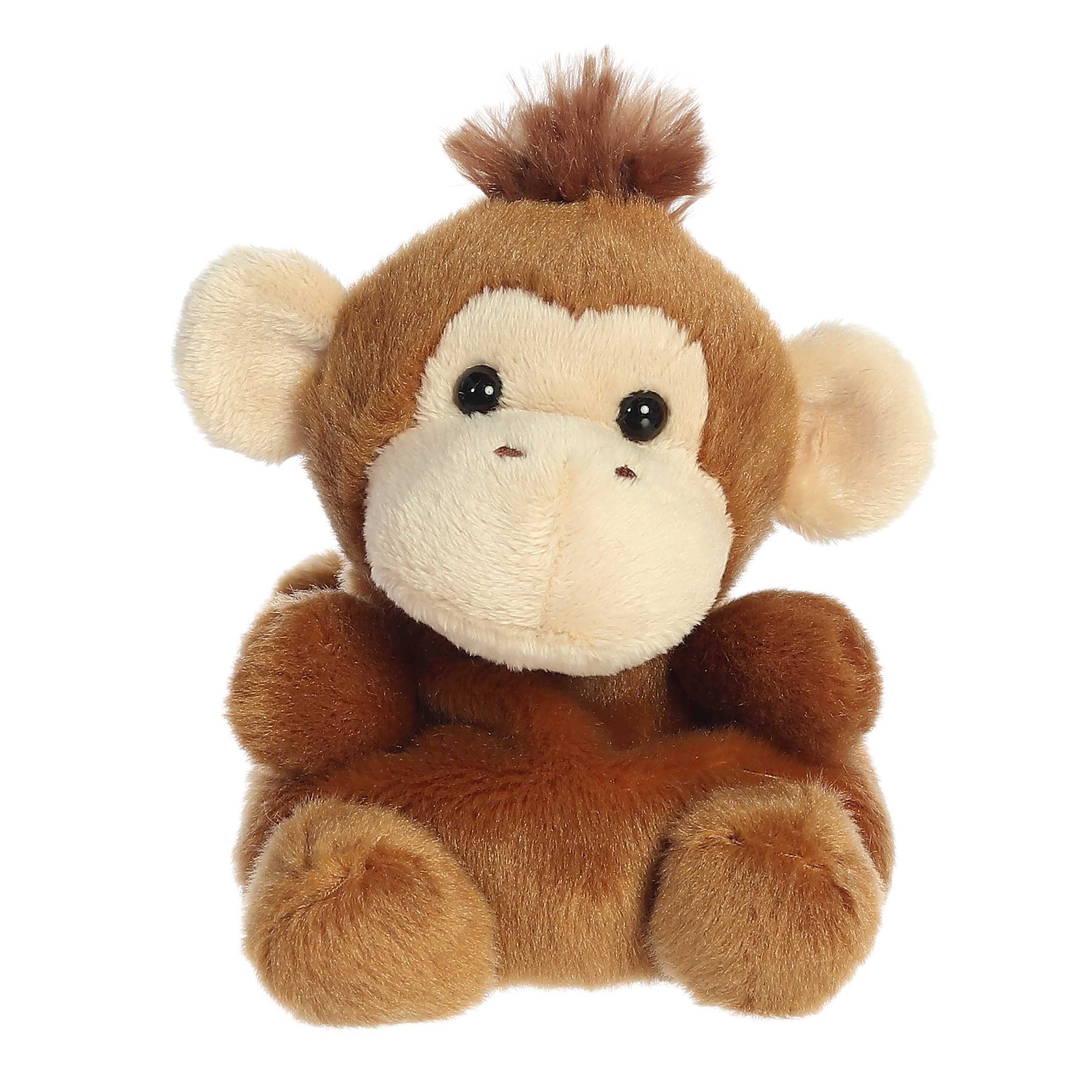 Boomer Monkey