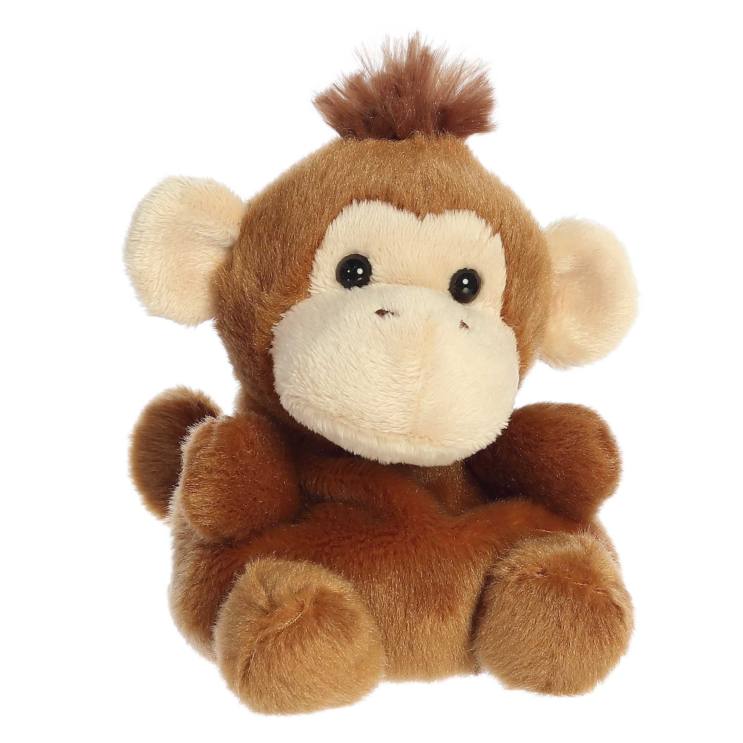 Alternative view of Boomer Monkey