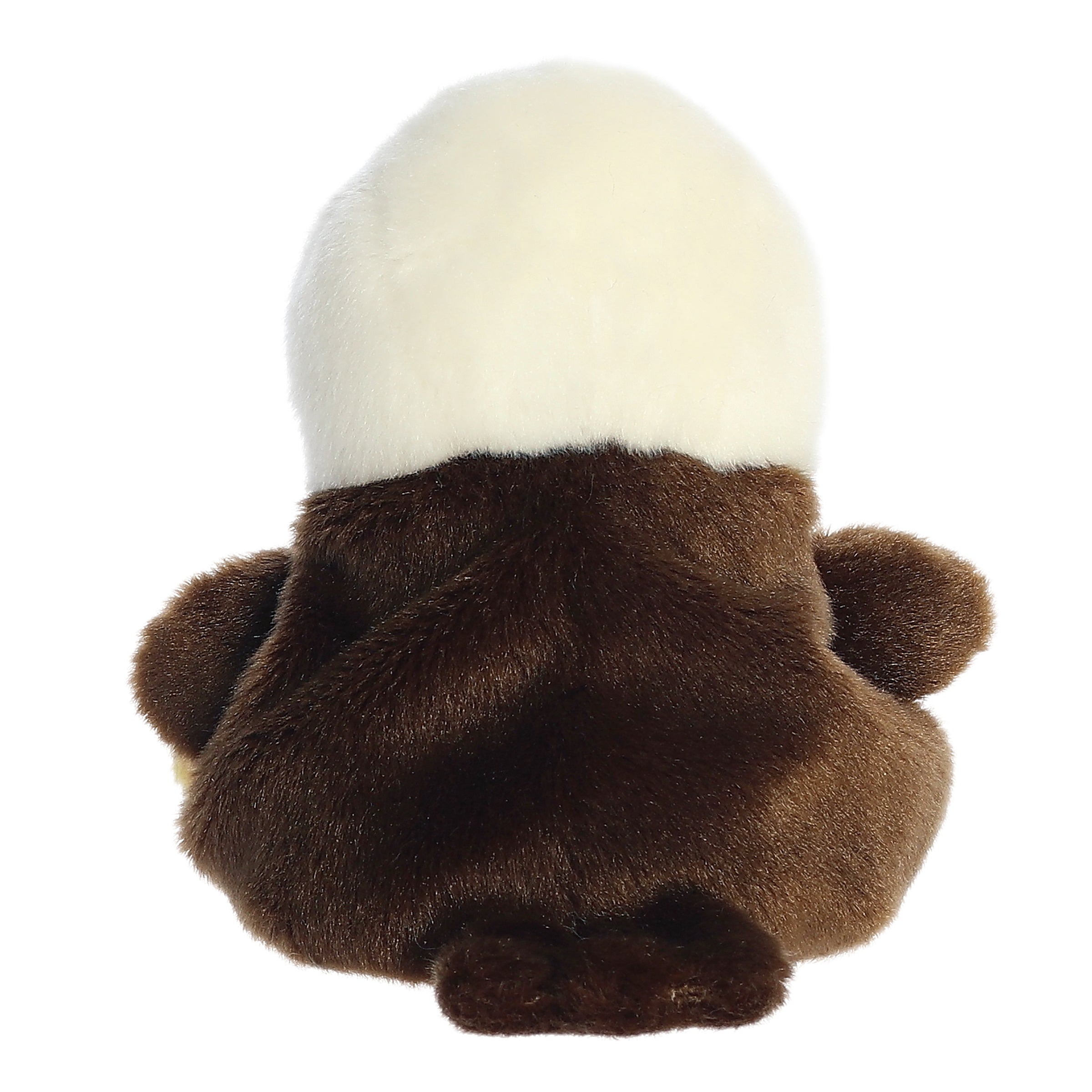 Murphy Bald Eagle - Image 4