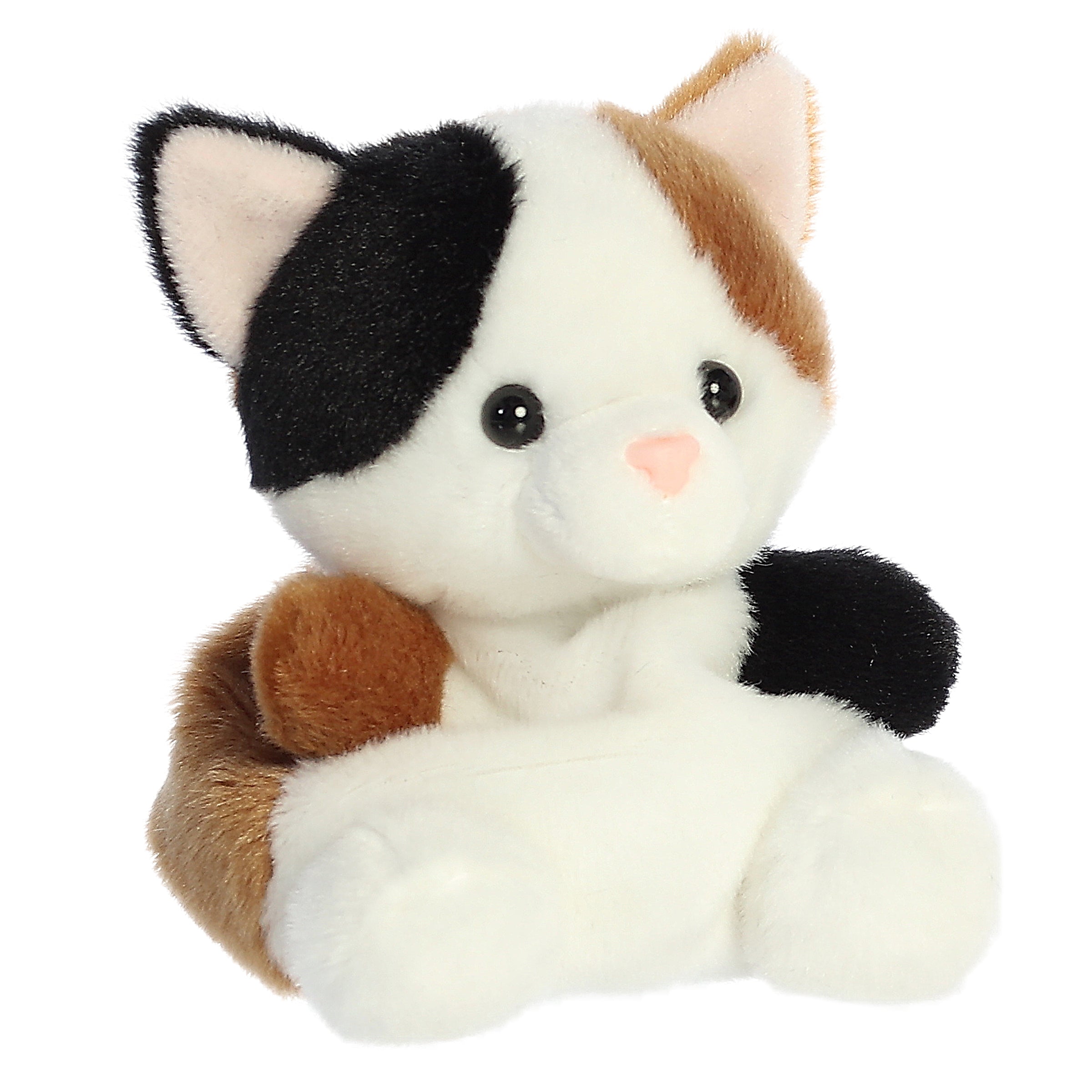 Alternative view of Peebs Calico Cat