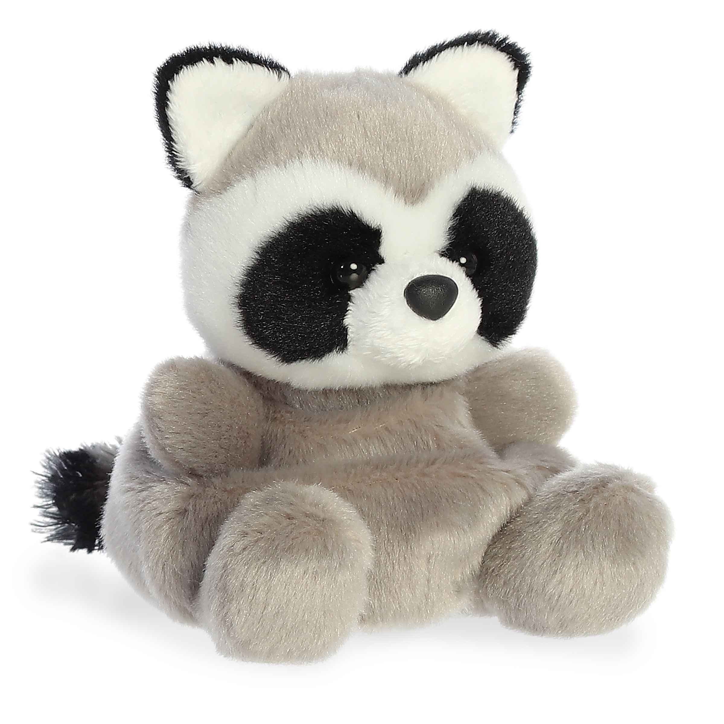 Alternative view of Rascal Raccoon