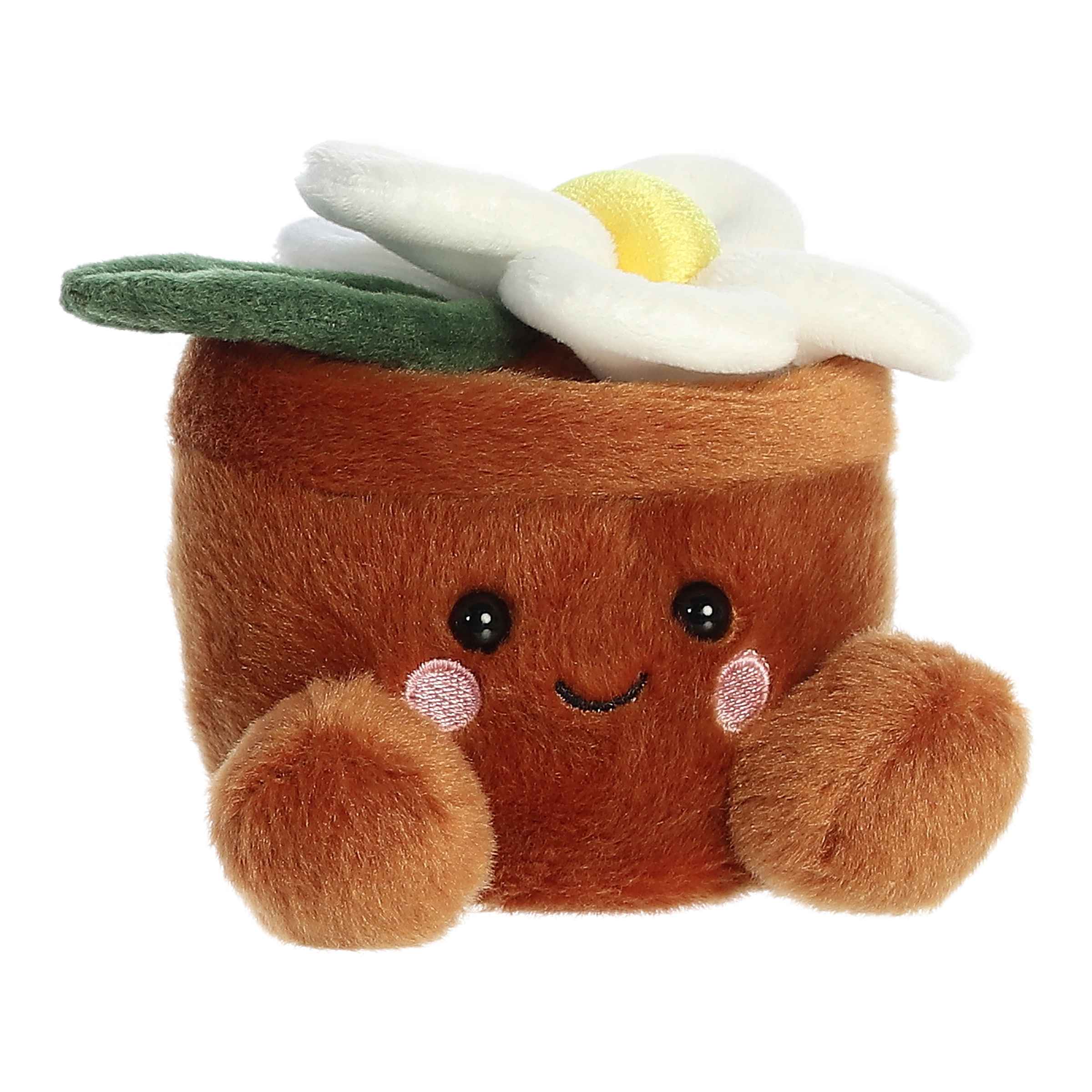 Alternative view of Junie Daisy