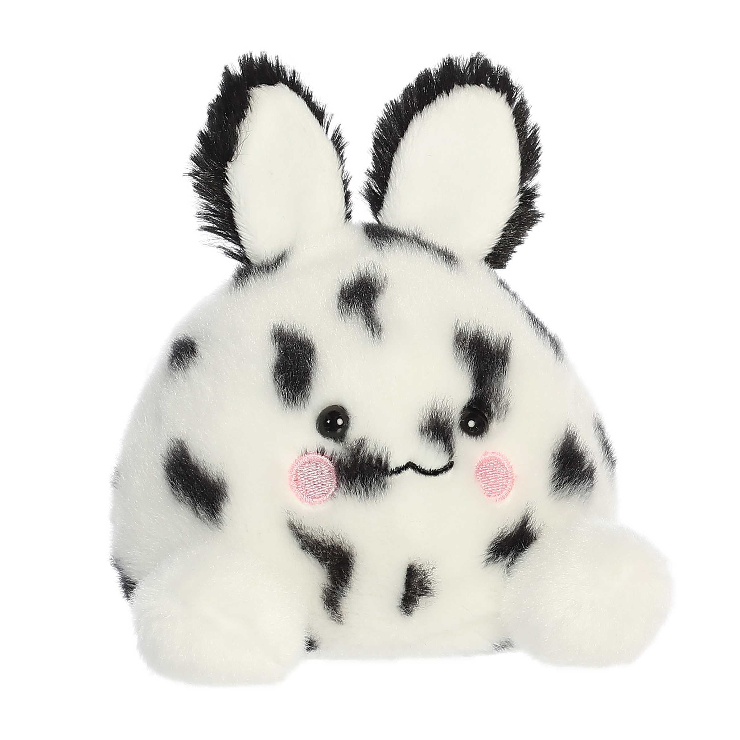 Alternative view of Usagi Sea Bunny