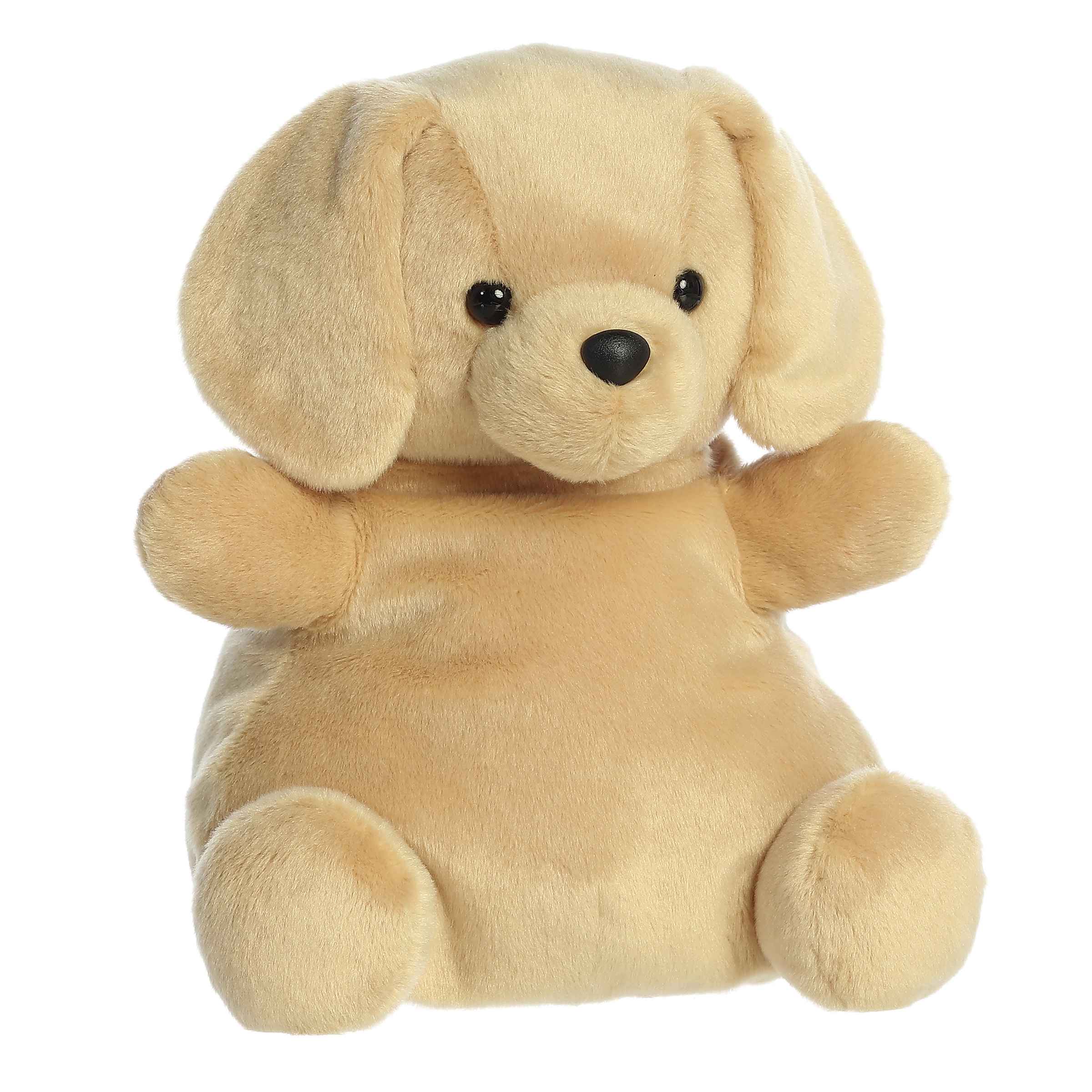 Alternative view of 13 Sunny Lab