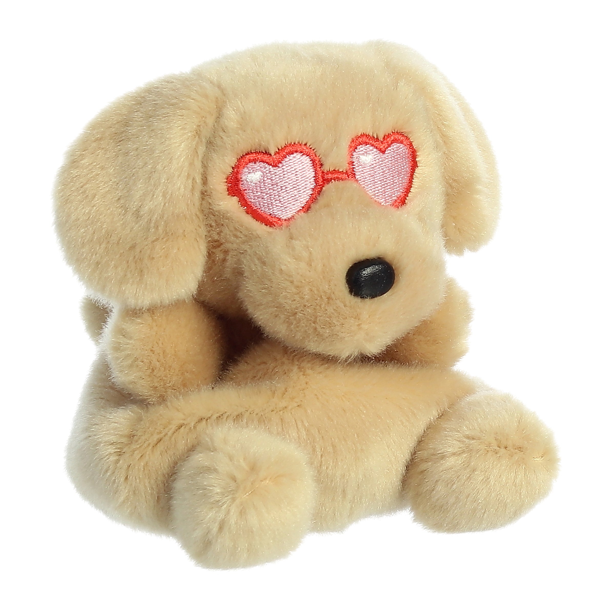 Alternative view of Buddie Dog