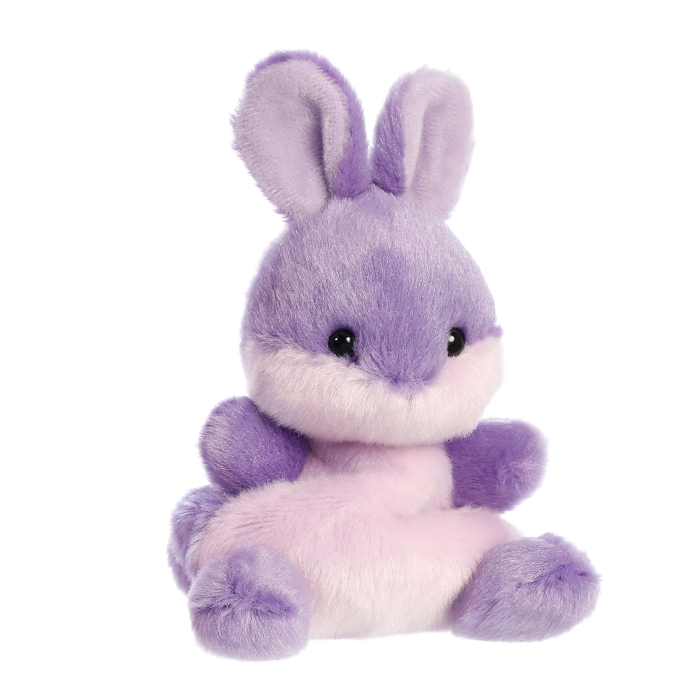 Alternative view of Poppy Purple Bunny